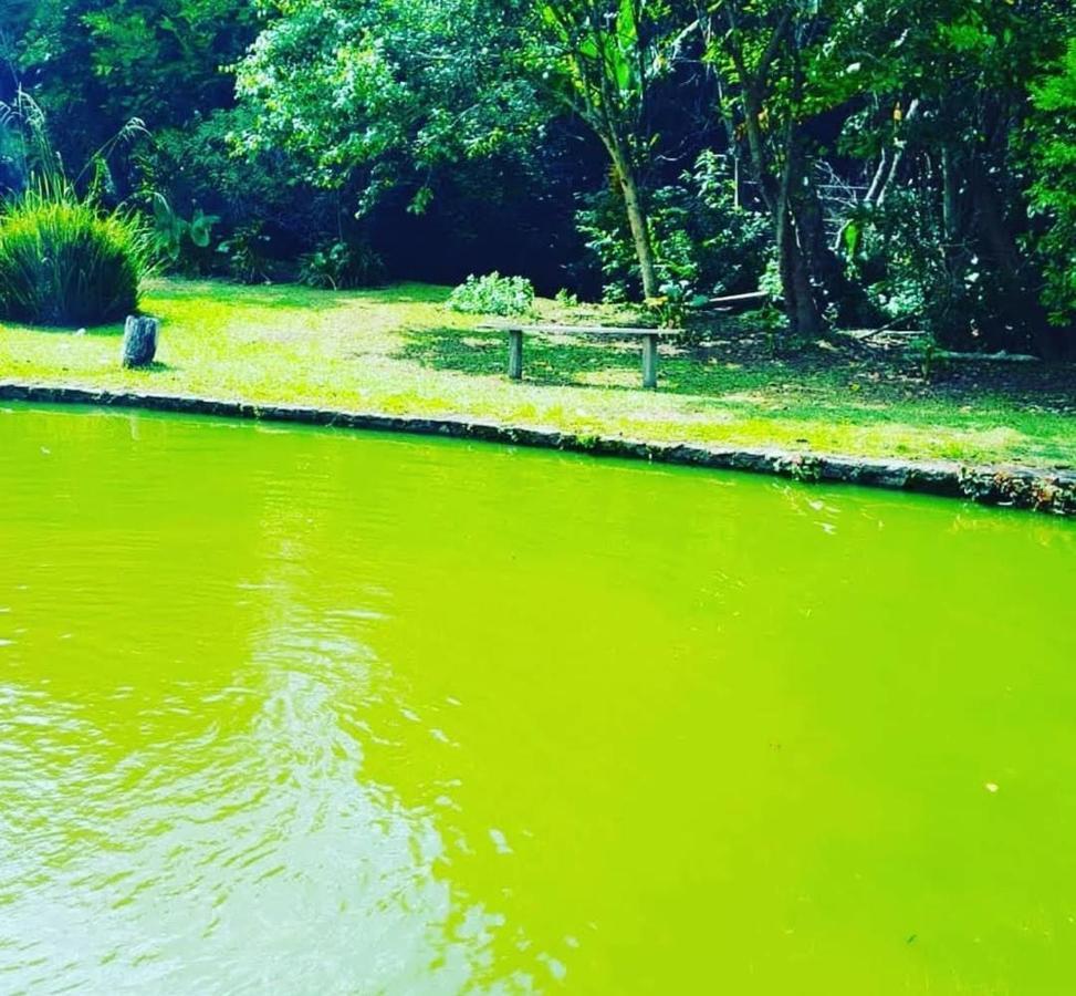 Villa Chacara Sonho Meu Pinhalzinho  Exterior foto