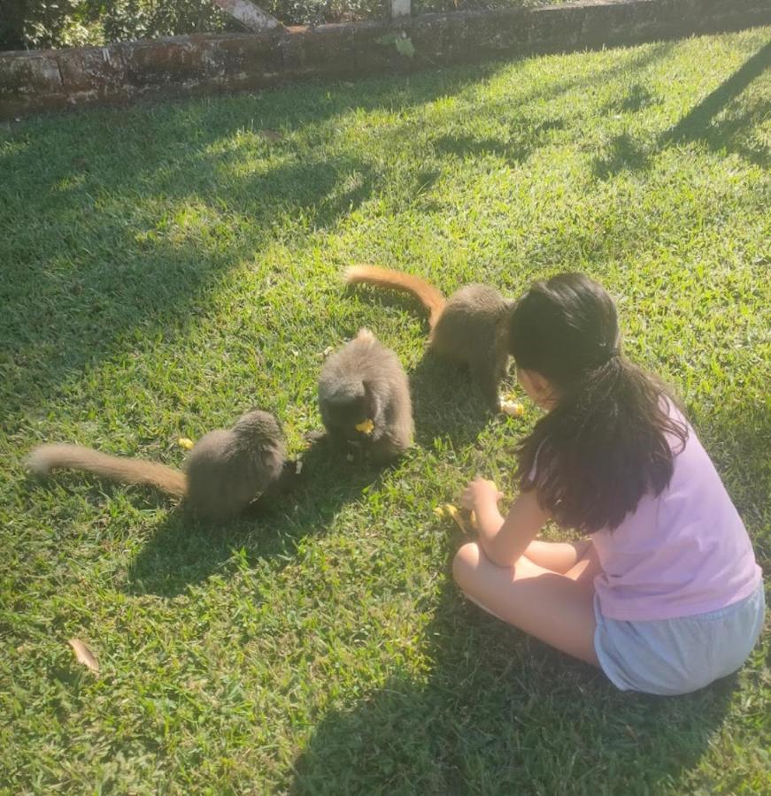 Villa Chacara Sonho Meu Pinhalzinho  Exterior foto